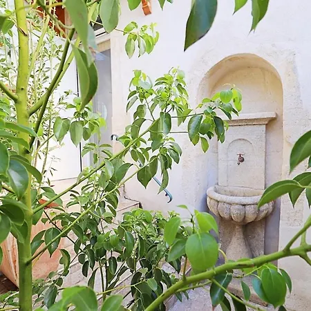 Villa Des Jardins De La Fontaine Nimes